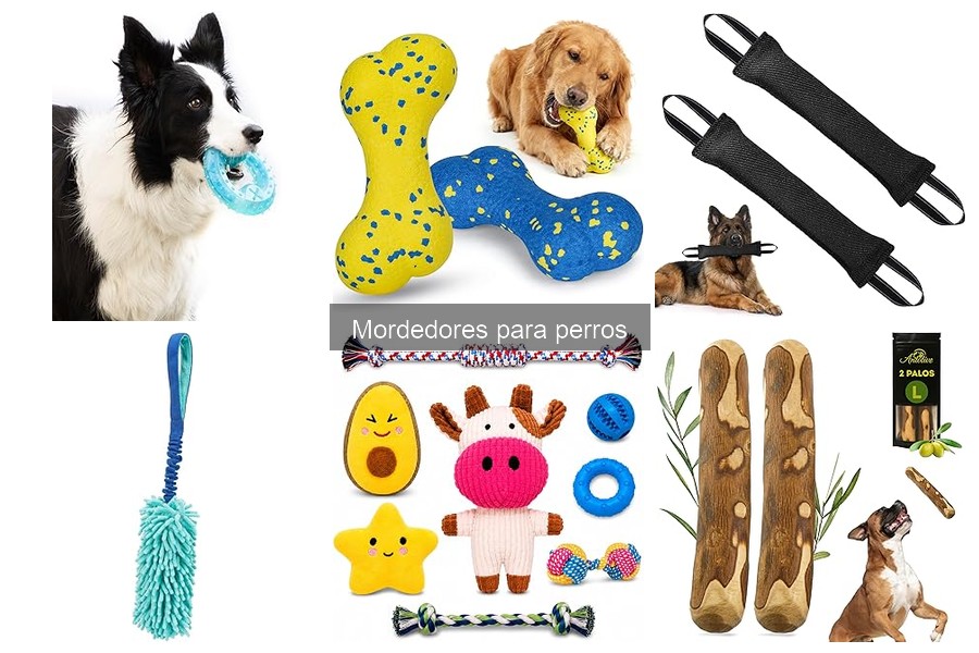 Errores comunes al usar mordedores para perros