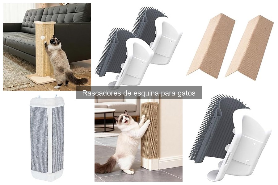 Errores comunes al usar rascadores de esquina para gatos