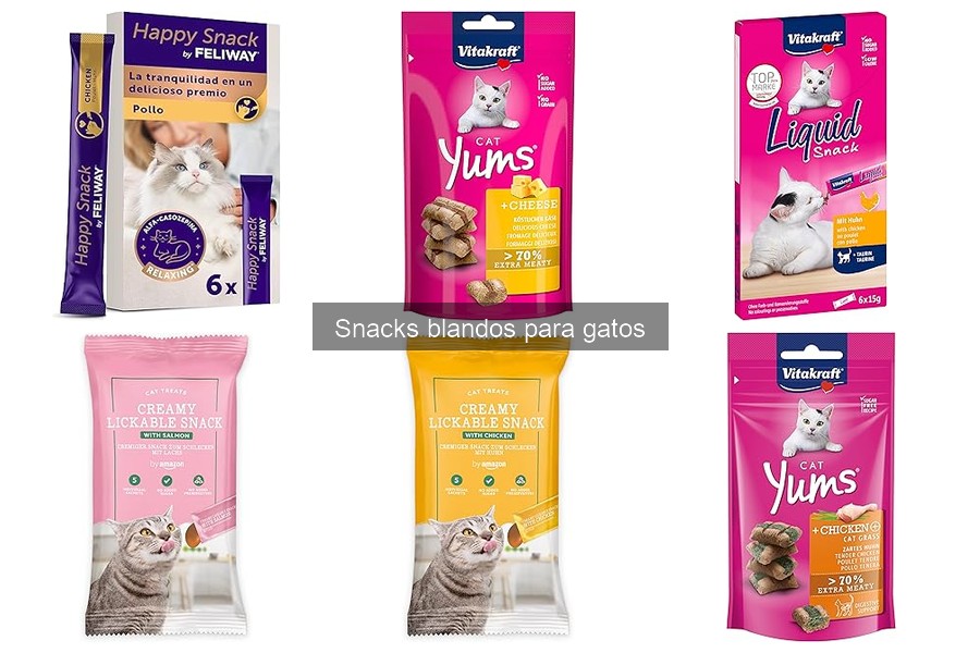 Errores comunes al usar snacks blandos para gatos