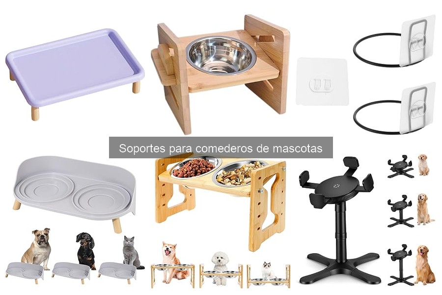 Errores Comunes al Usar Soportes para Comederos de Mascotas