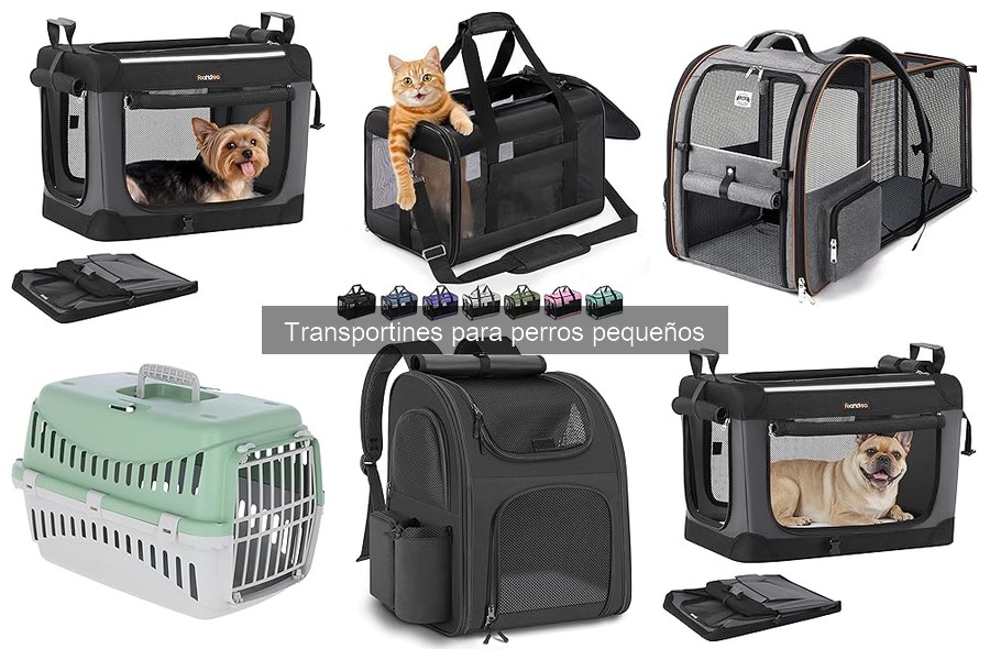 Errores comunes al usar transportines para perros pequeños