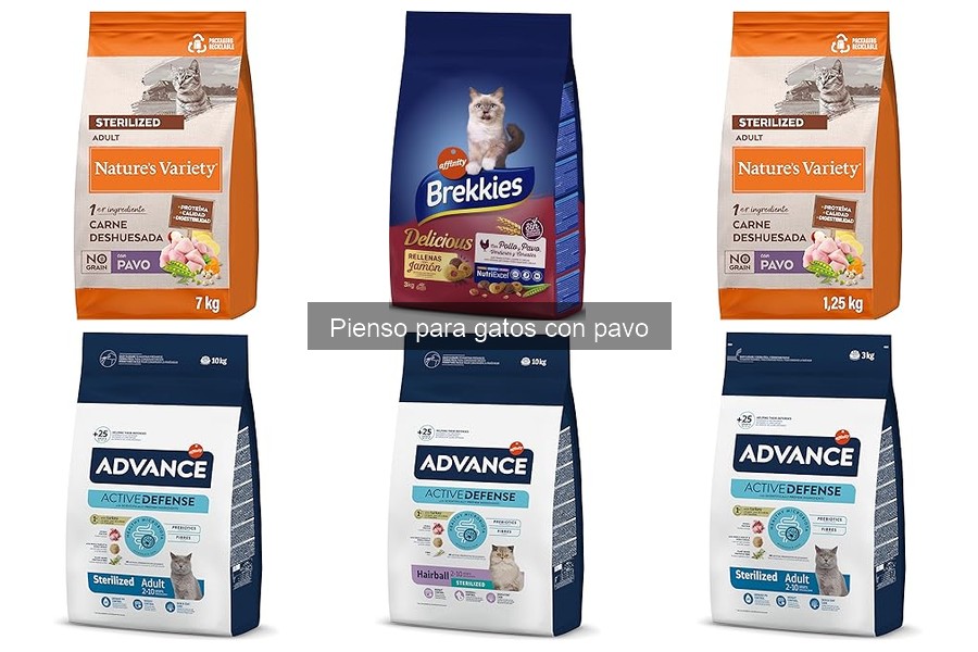 ¿Es el pienso con pavo ideal para gatos con sobrepeso?