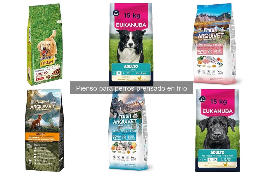 ¿Es el pienso prensado en frío ideal para perros con sensibilidad digestiva?