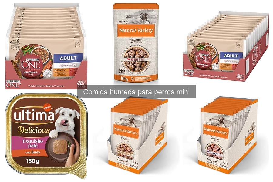 ¿Es necesaria la comida húmeda para perros mini?