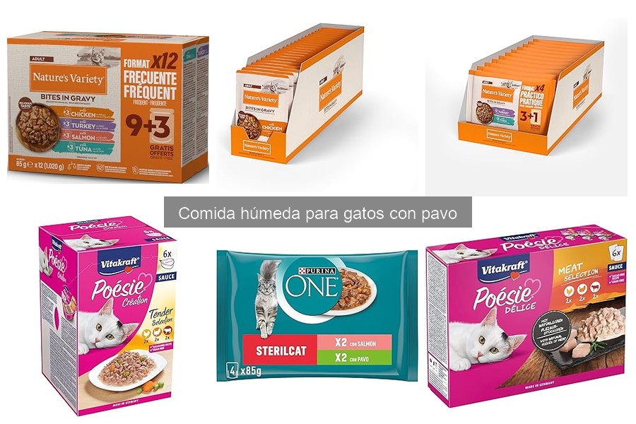¿Es suficiente la comida húmeda de pavo para gatos?