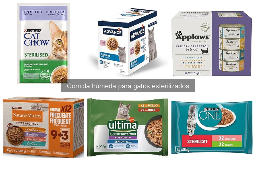 ¿Es suficiente la comida húmeda para gatos esterilizados?