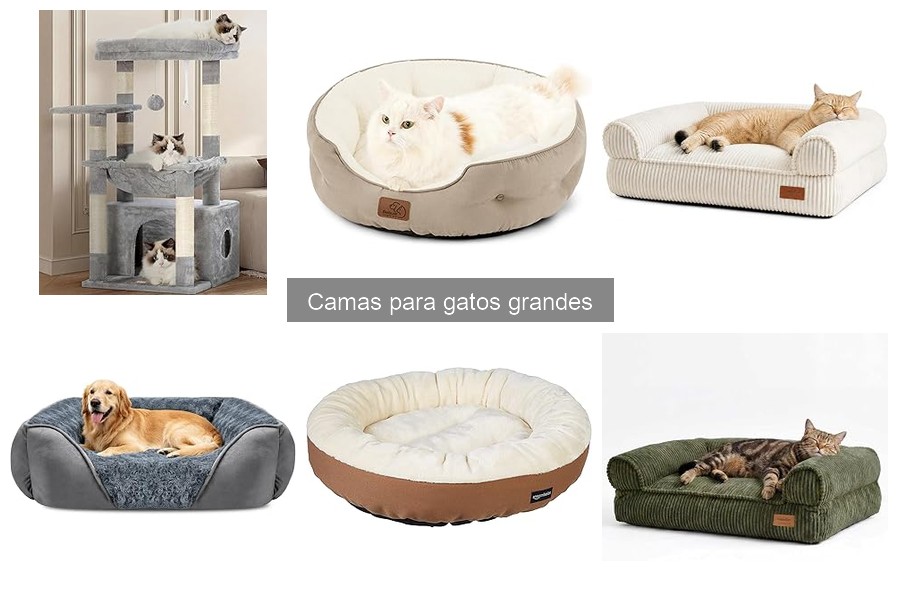 Espacio ideal para que un gato grande duerma cómodamente