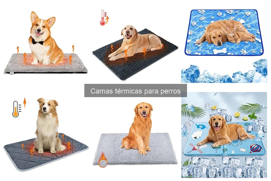 Espacio necesario para camas térmicas para perros