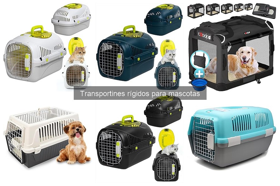 Experiencias de Viaje con Transportines Rígidos para Mascotas