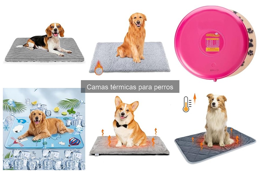 Experiencias Reales de Dueños con Camas Térmicas para Perros