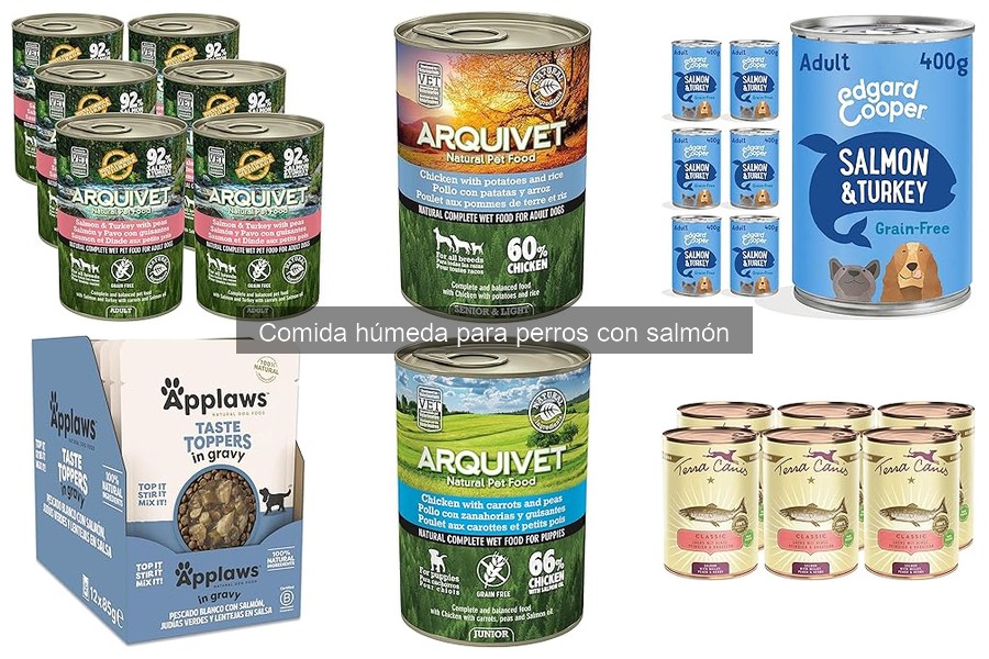 Frecuencia Ideal de Comida Húmeda de Salmón para Perros