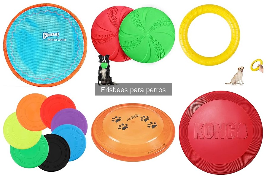 Frisbees ligeros para perros mayores: compra fácil y divertida