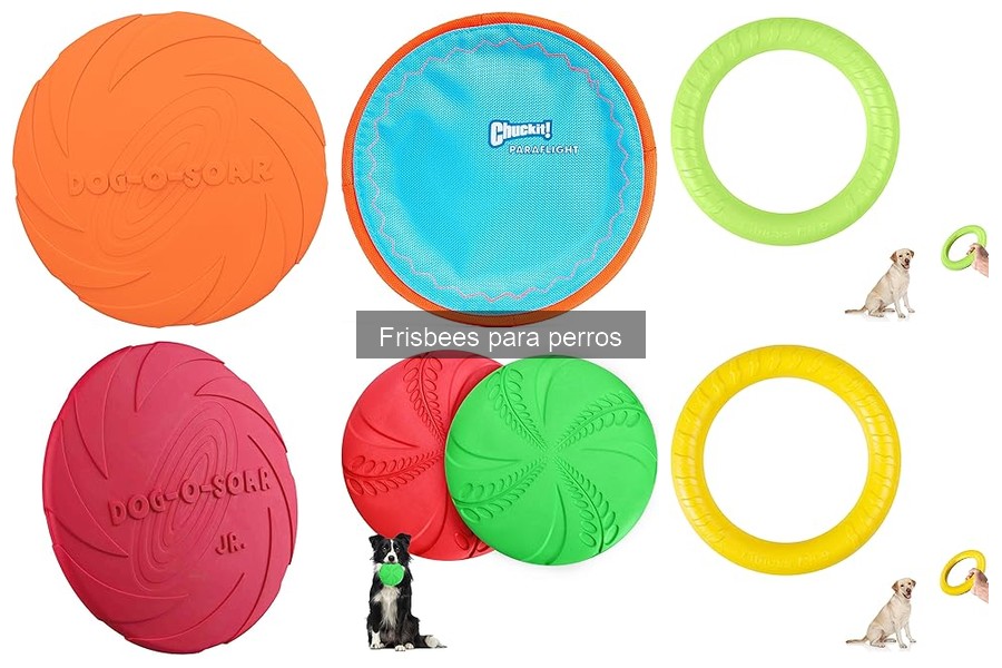 Frisbees Personalizados para Perros: Regalos Originales