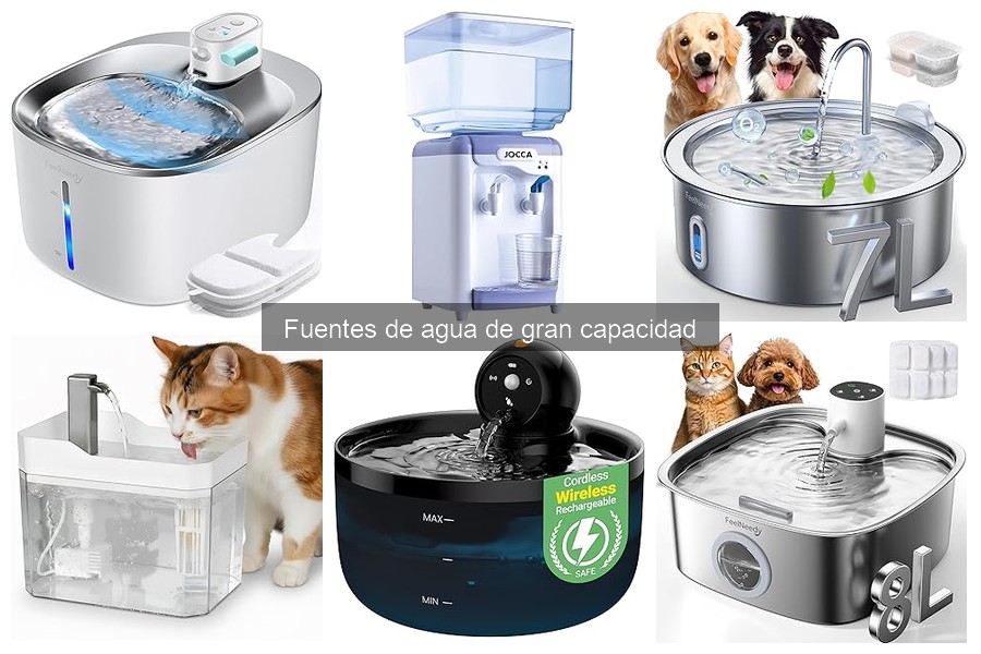 Fuentes de Agua de Gran Capacidad para Perros y Gatos