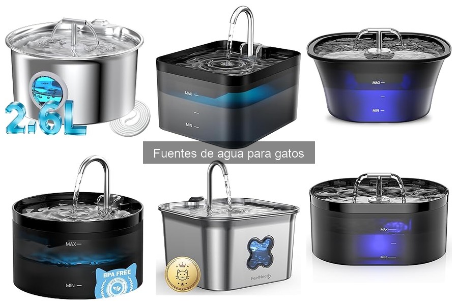 Fuentes de Agua para Gatos: Beneficios y Funcionamiento