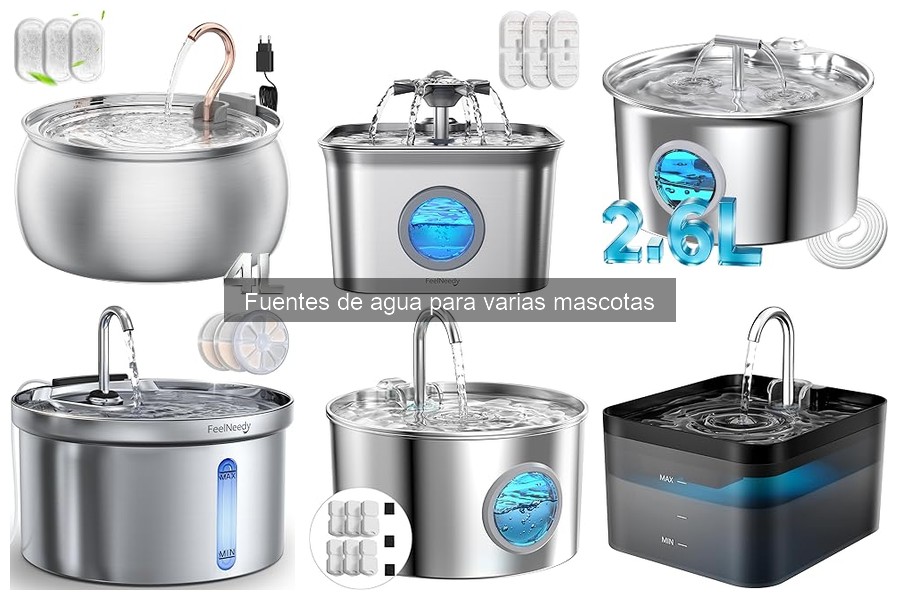 Fuentes de agua para gatos: ¿Son adecuadas?