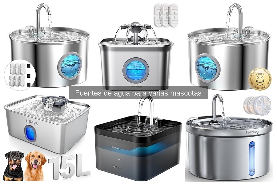 Fuentes de agua para mascotas: Beneficios y características