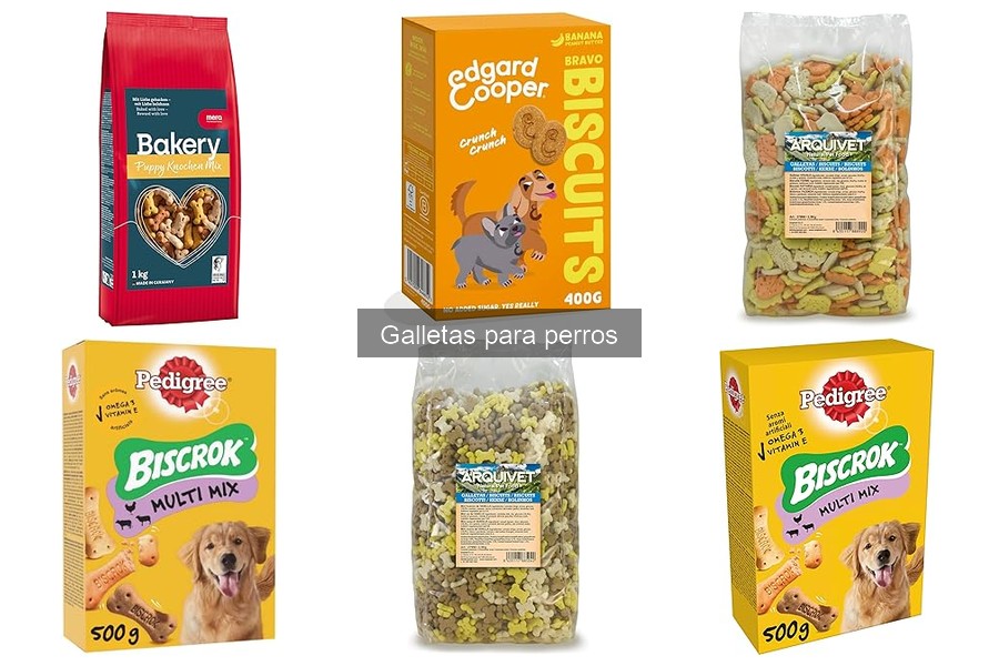 Galletas para perros con alergias: opciones recomendadas