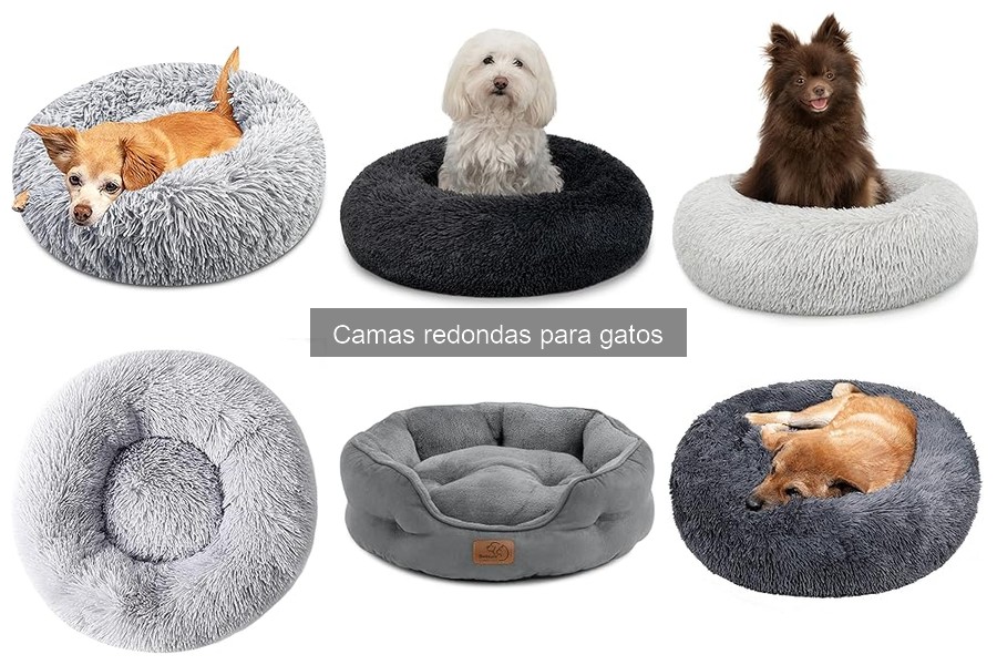 Guía de compra: camas redondas para gatos