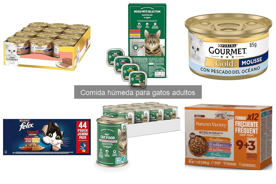 Guía de Compra: Comida Húmeda para Gatos Adultos
