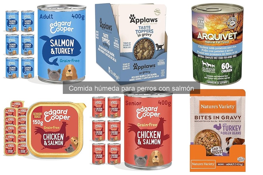 Guía de compra de comida húmeda para perros con salmón