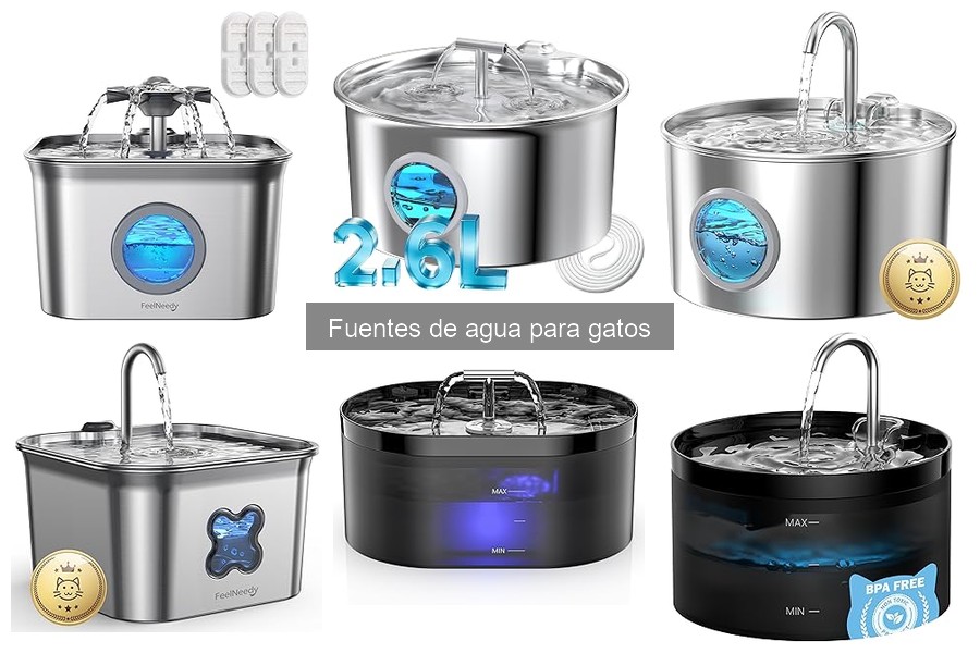 Guía de compra de fuentes de agua para gatos 2023