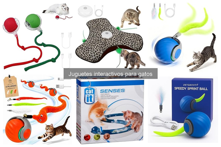 Guía de compra de juguetes interactivos para gatos