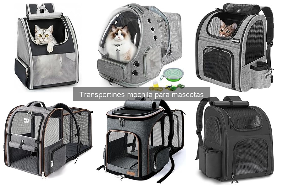 Guía de compra de transportines mochila para mascotas