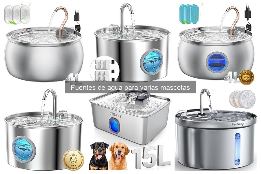 Guía de Compra: Fuentes de Agua para Varias Mascotas