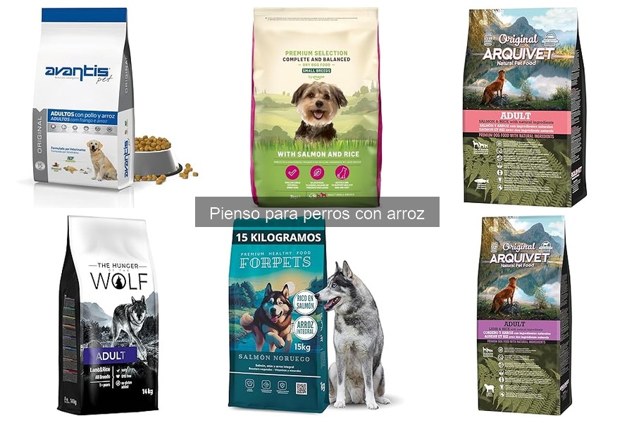 Guía de compra: Mejores piensos para perros con arroz