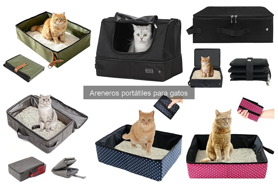 Guía para Elegir el Mejor Arenero Portátil para Gatos