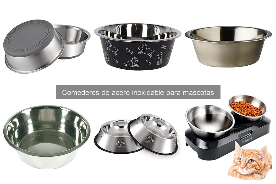 Guía para elegir el mejor comedero de acero inoxidable
