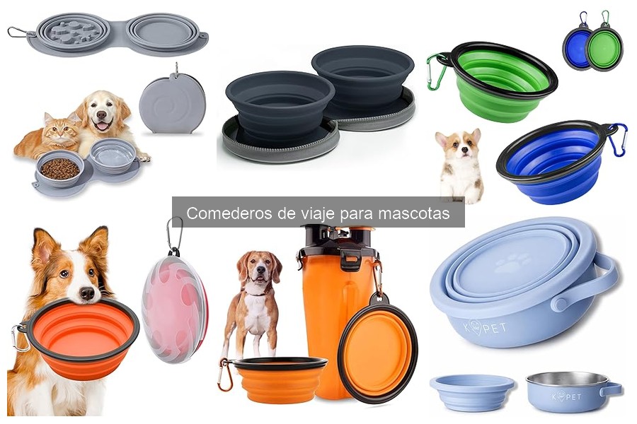 Guía para elegir el mejor comedero de viaje para mascotas