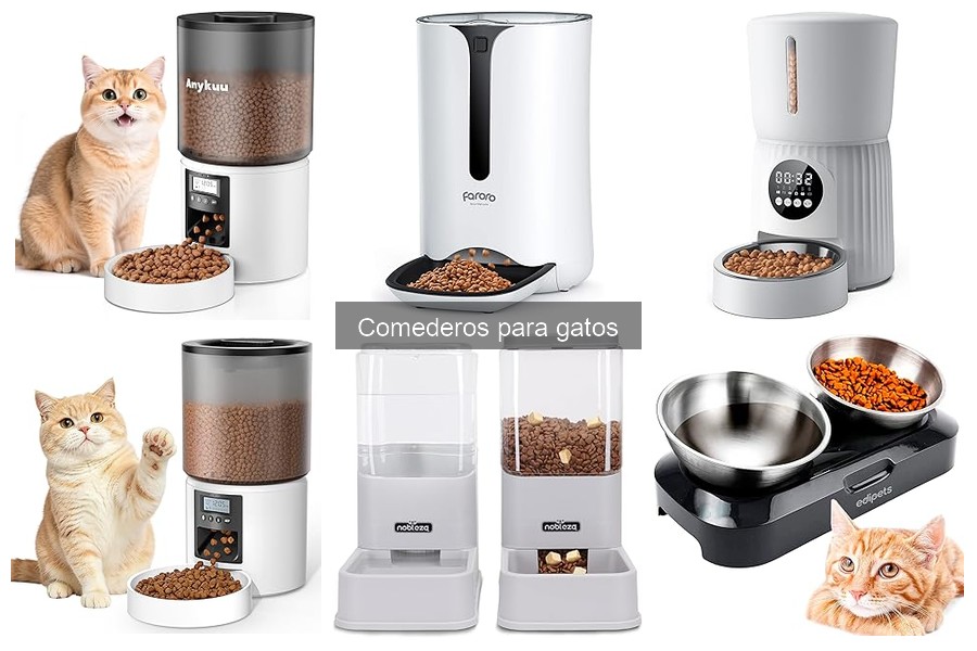 Guía para elegir el mejor comedero para gatos con sobrepeso