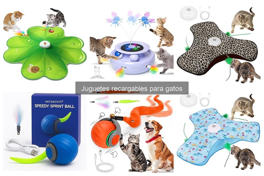 Guía para elegir el mejor juguete recargable para gatos