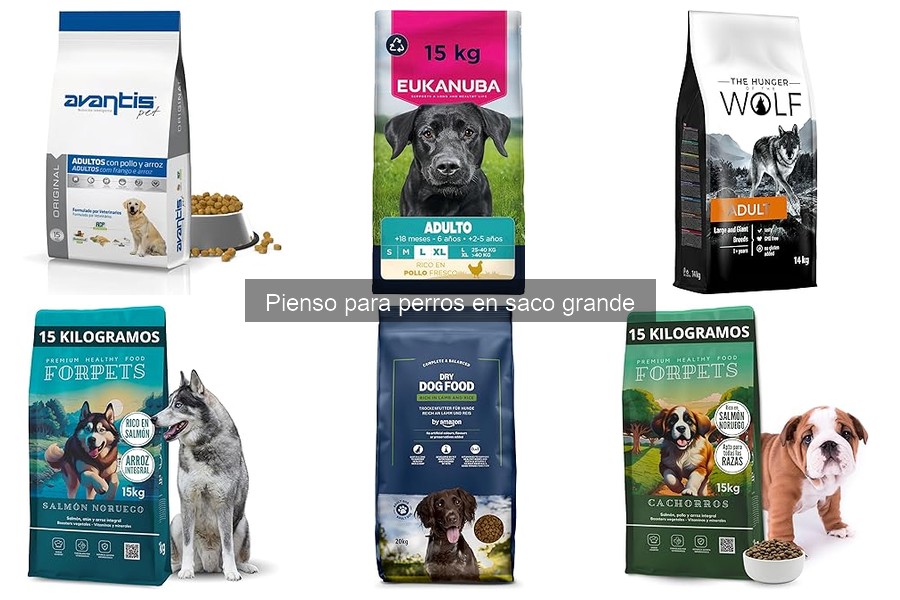 Guía para elegir el mejor pienso para perros en saco grande