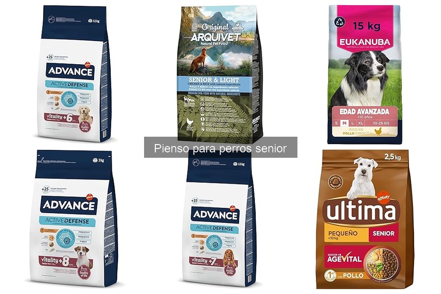 Guía para elegir el mejor pienso para perros senior