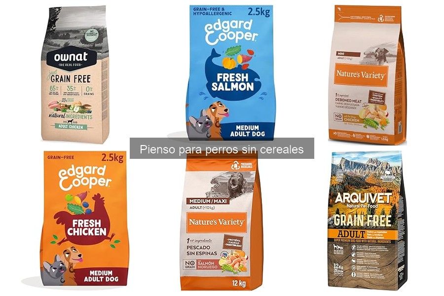 Guía para elegir el mejor pienso sin cereales para perros