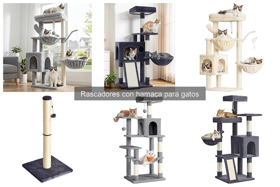 Guía para elegir el mejor rascador con hamaca para gatos