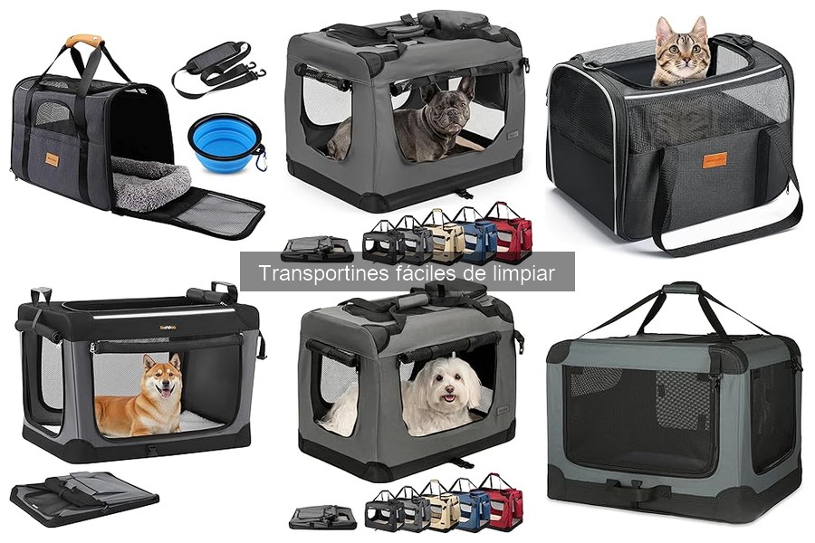 Guía para elegir el transportín fácil de limpiar para mascotas