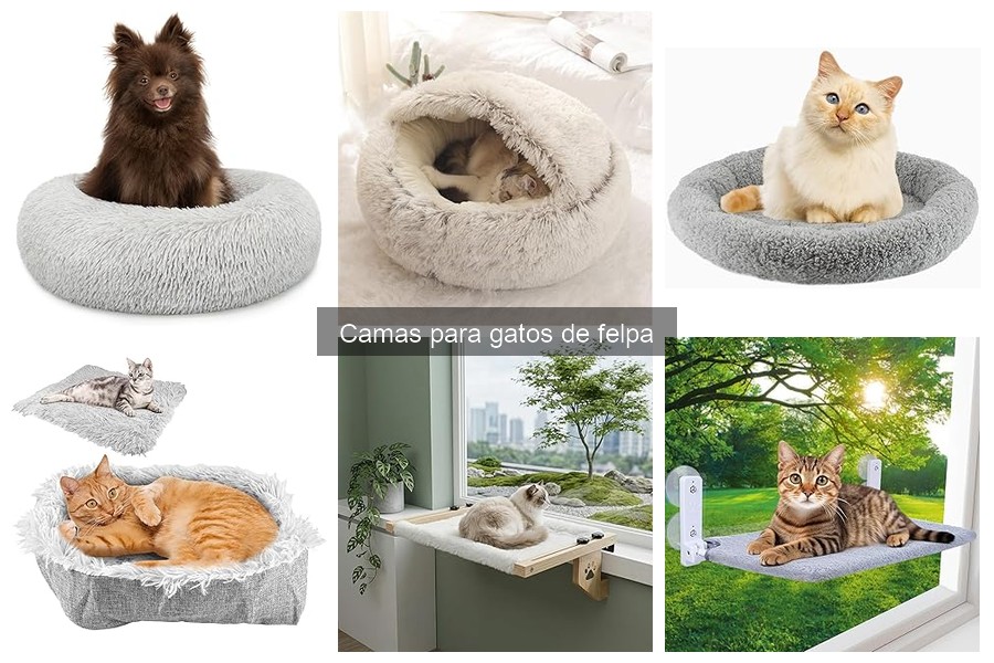 Guía para elegir la cama de felpa ideal para tu gato