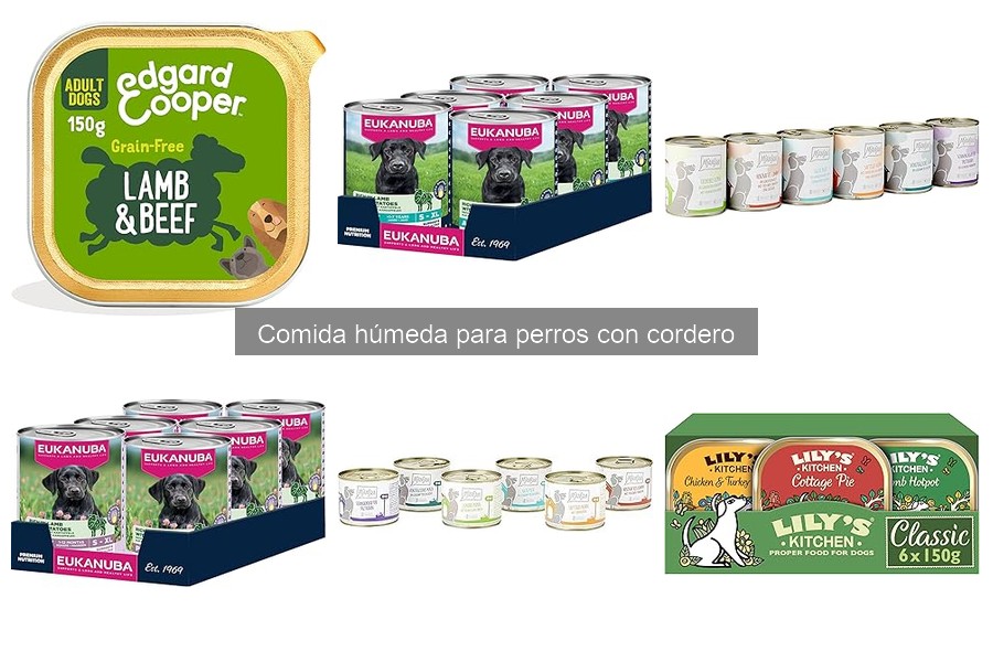 Guía para elegir la mejor comida húmeda de cordero para perros