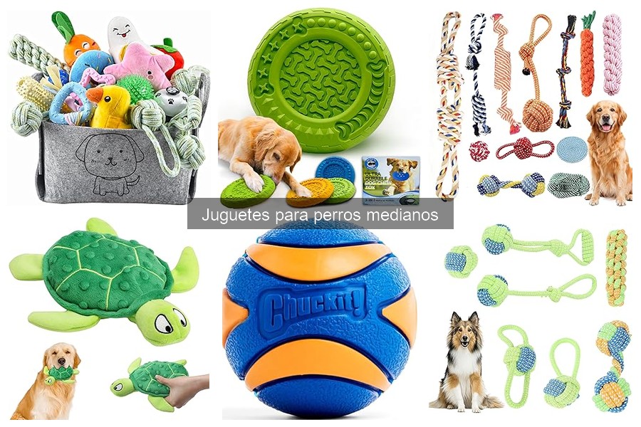 Guía para elegir los mejores juguetes para perros medianos