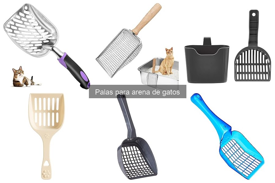 Guía sobre Pala para Arena de Gatos y sus Tipos