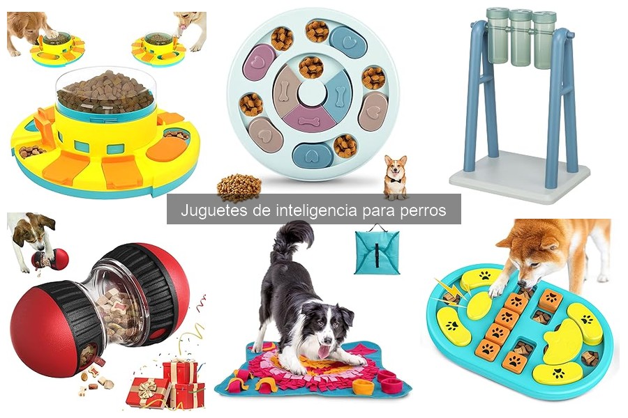 Ideas creativas de juegos con juguetes de inteligencia para perros