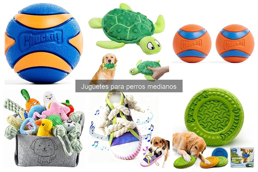Ideas de juegos divertidos con juguetes para perros medianos