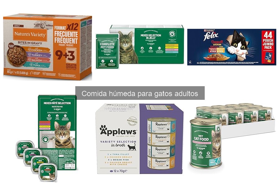 Impacto de la comida húmeda en la salud de los gatos adultos