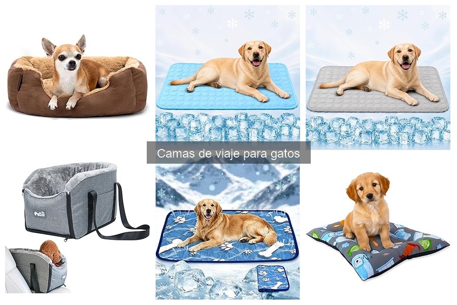 Impacto de las camas de viaje en la salud de tu gato
