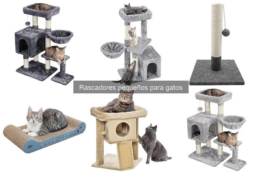 Importancia de un Rascador para Gatos: Salud y Mobiliario