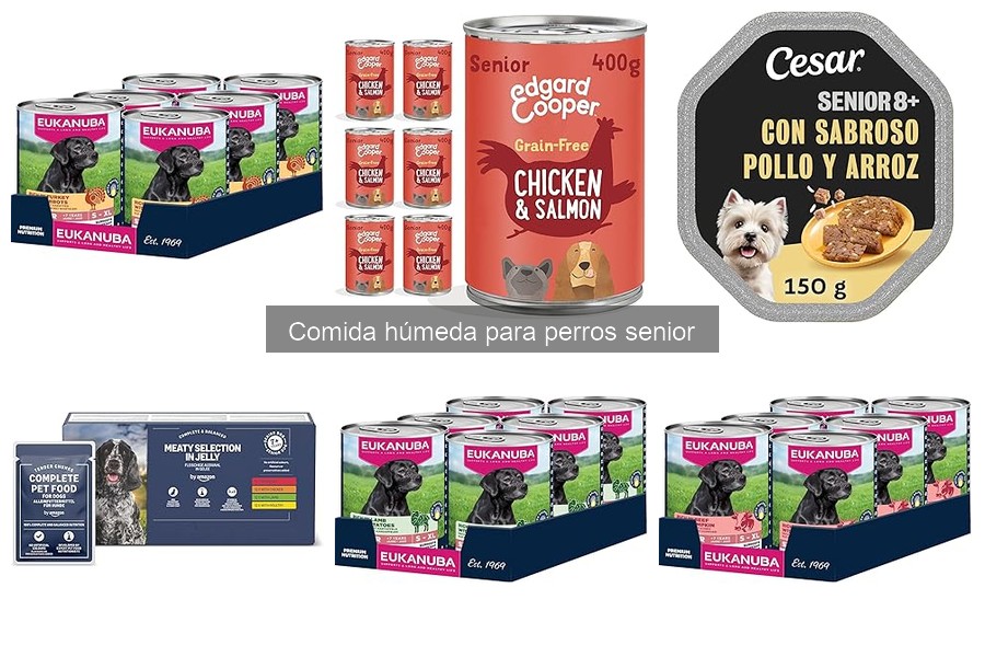 Indicios de que tu perro senior necesita comida húmeda